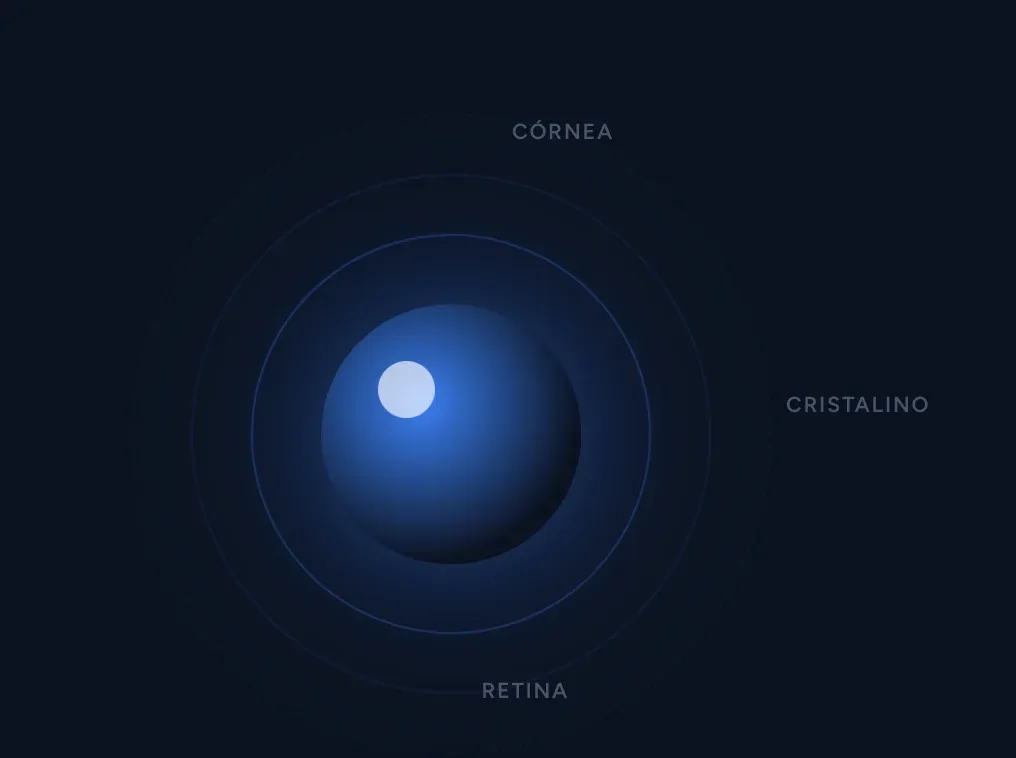 Ilustração do olho humano: córnea, cristalino e retina